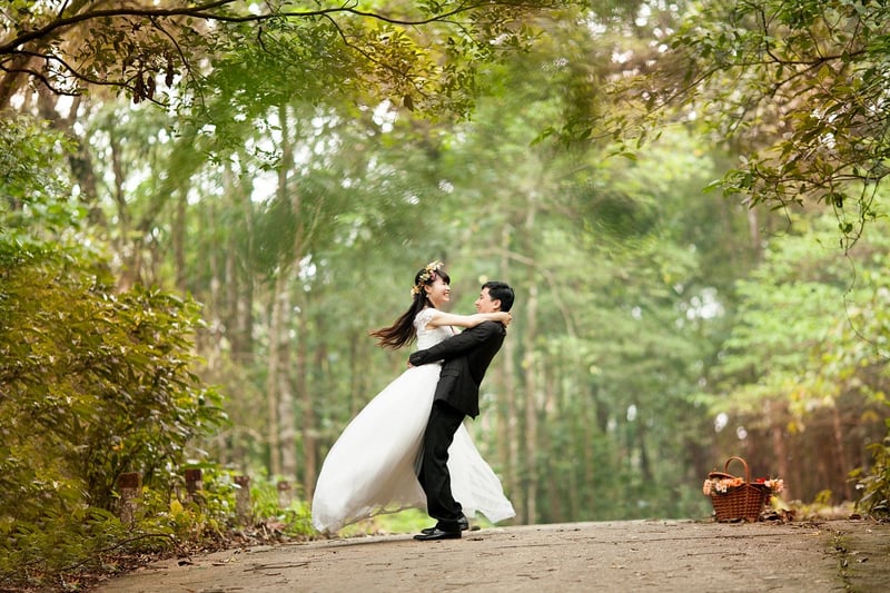 Enchanted Grove Gardens